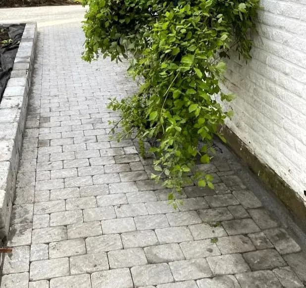 Marksten uppfart